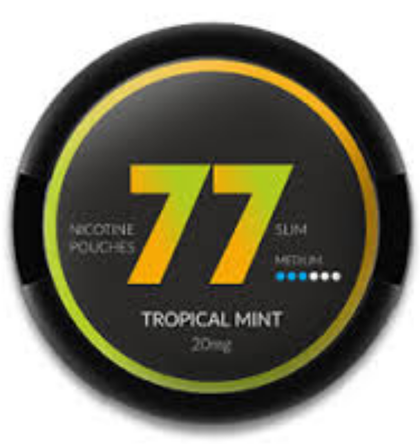 Tropical Mint 10.4mg 77
