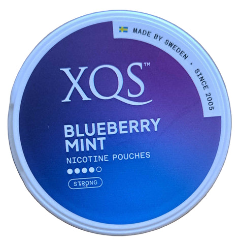 Blueberry Mint 8mg XQS